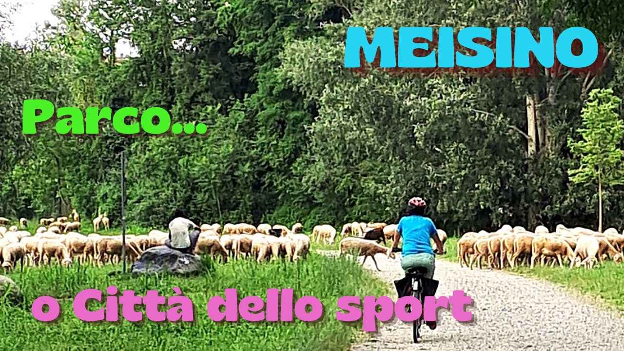 Meisino - Parco....o Cittadella dello Sport bici &Dintorni