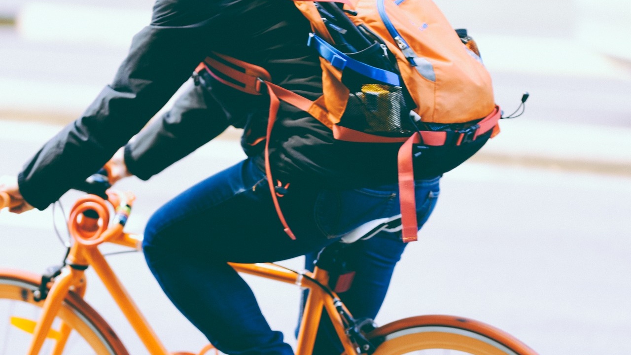 Manuale del ciclista urbano bici &Dintorni