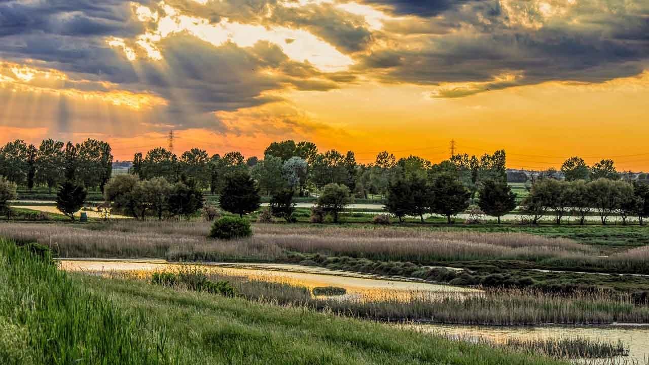 Da Ferrara a Ravenna e il Delta del grande fiume bici &Dintorni