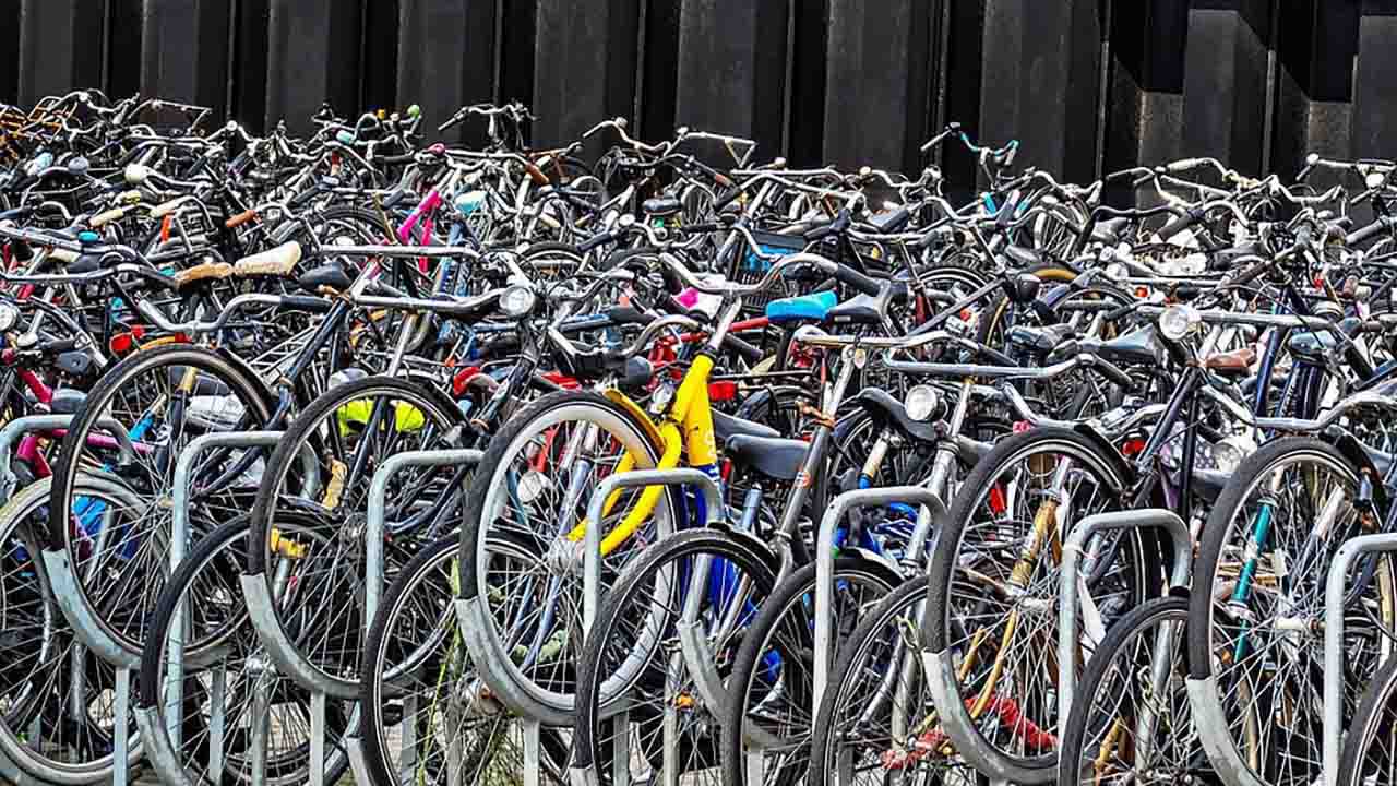 Pedala Gira e torna a casa bici &Dintorni