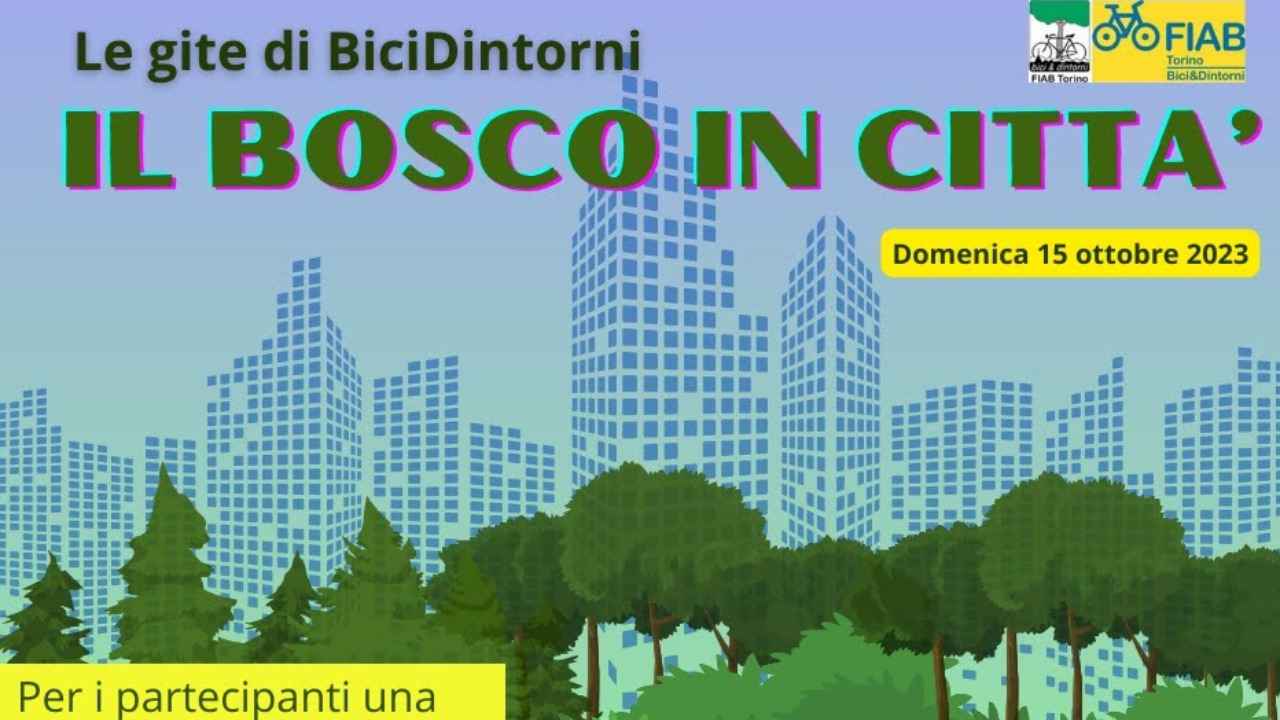 Il bosco in città bici &Dintorni