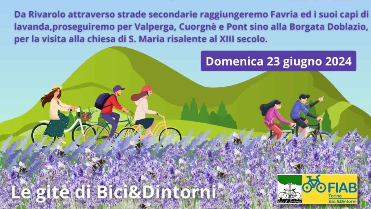 In Canavese dai campi di lavanda alla via francigena bici &Dintorni
