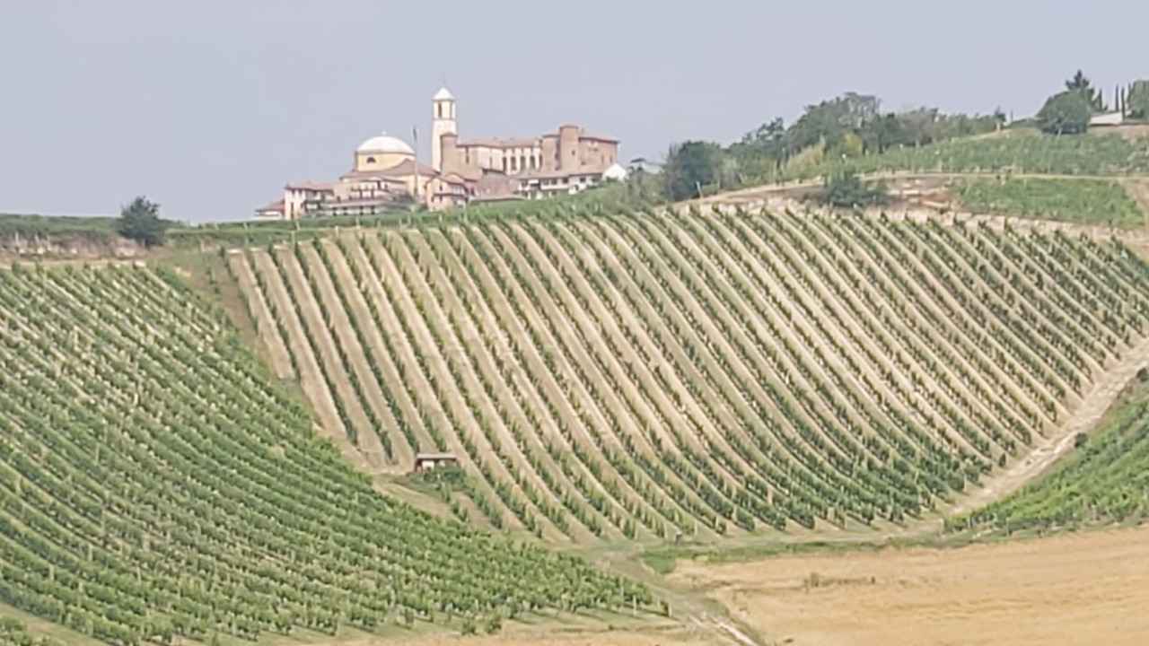 Munta e cala nel Monferrato bici &Dintorni