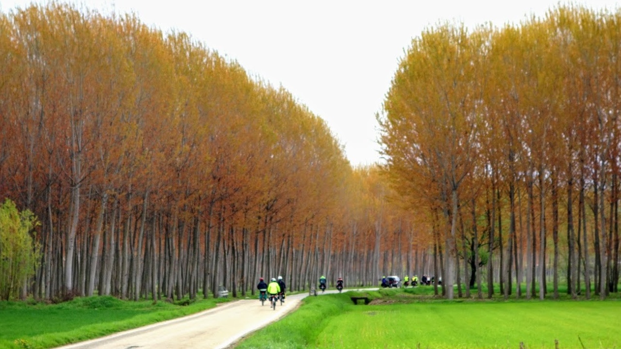 Il primo Bicigrill del Piemonte