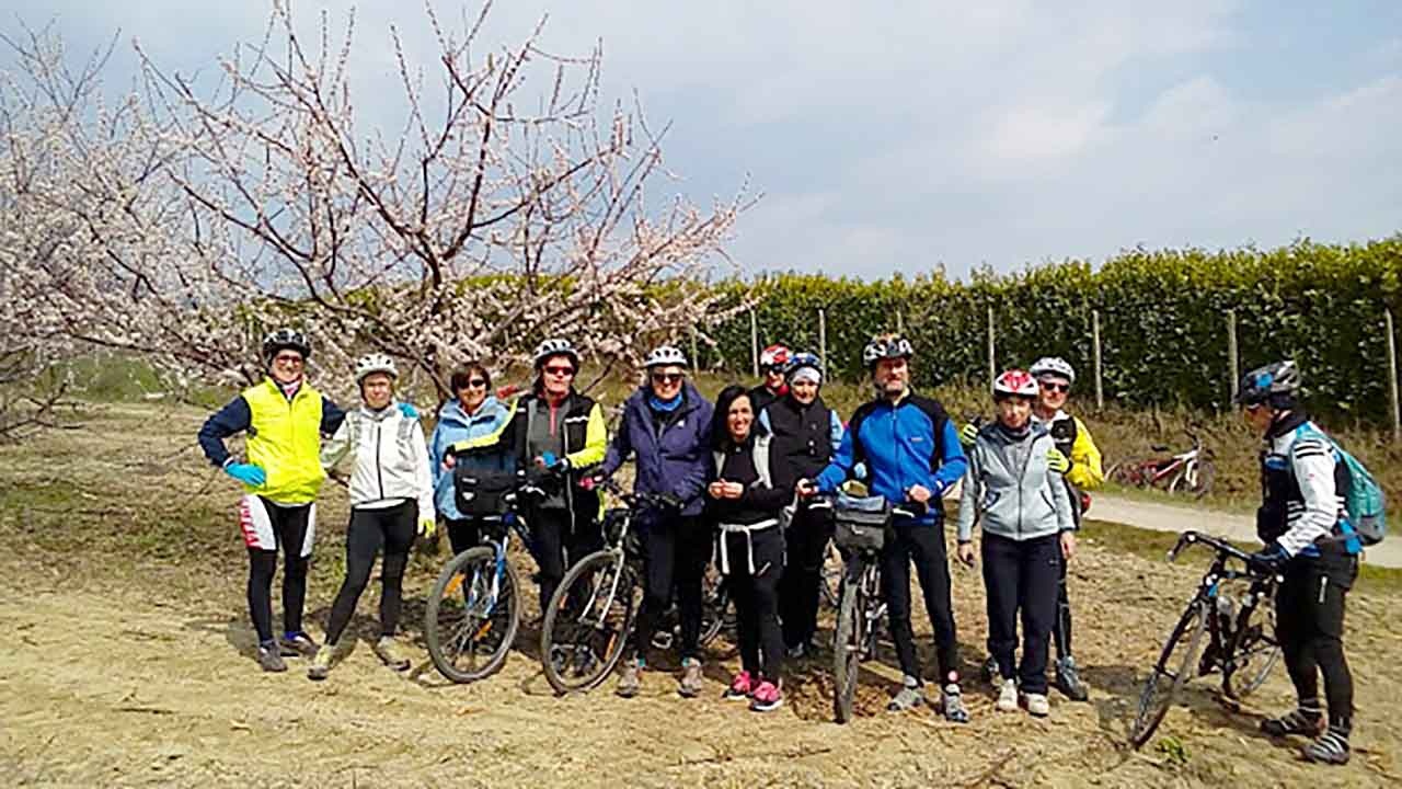 Hanami a Pecetto bici &Dintorni