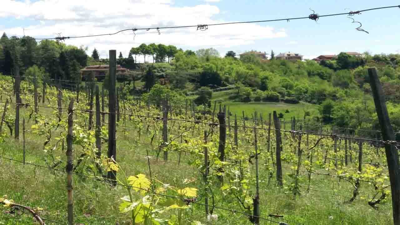 Aperò a Cinzano