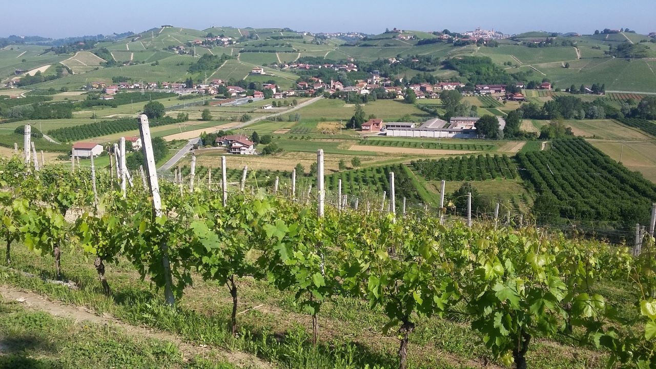 In un Lan.Po un altro pezzo di Piemonte bici &Dintorni