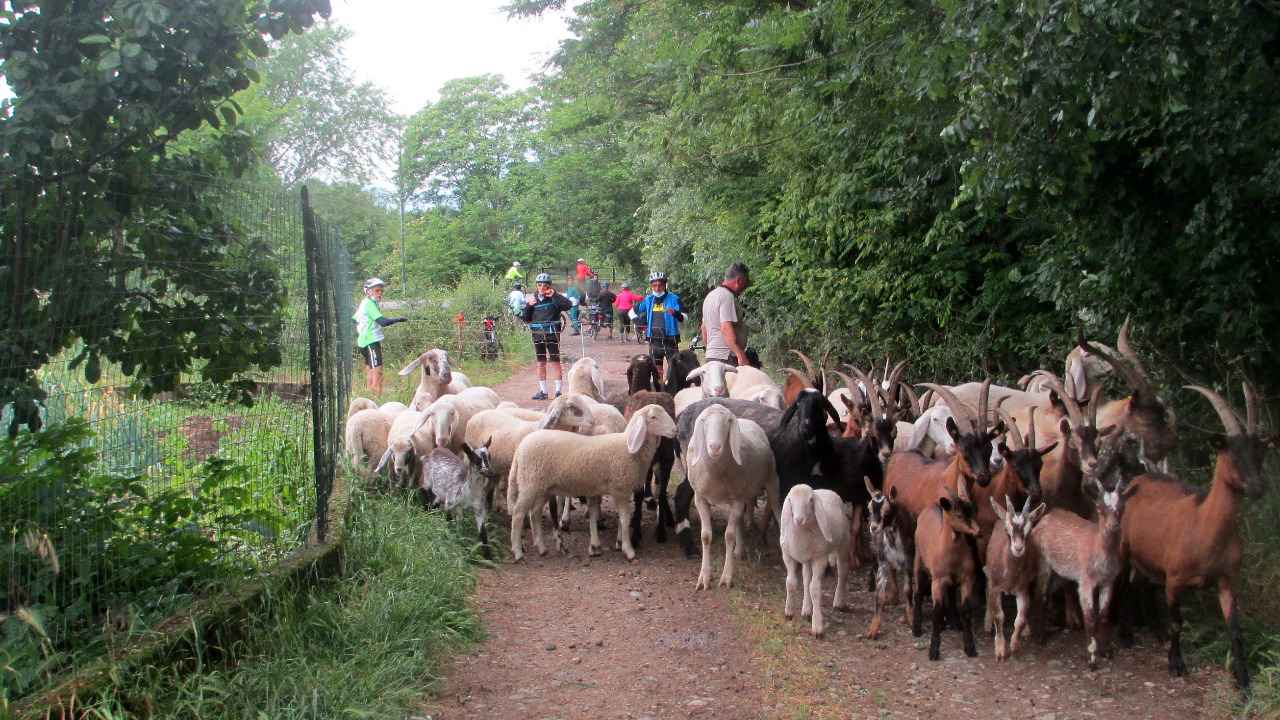 Piemontesi nei 2 mondi: museo dei migranti di Frossasco bici &Dintorni