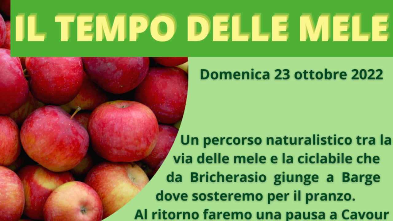 IL TEMPO DELLE MELE bici &Dintorni