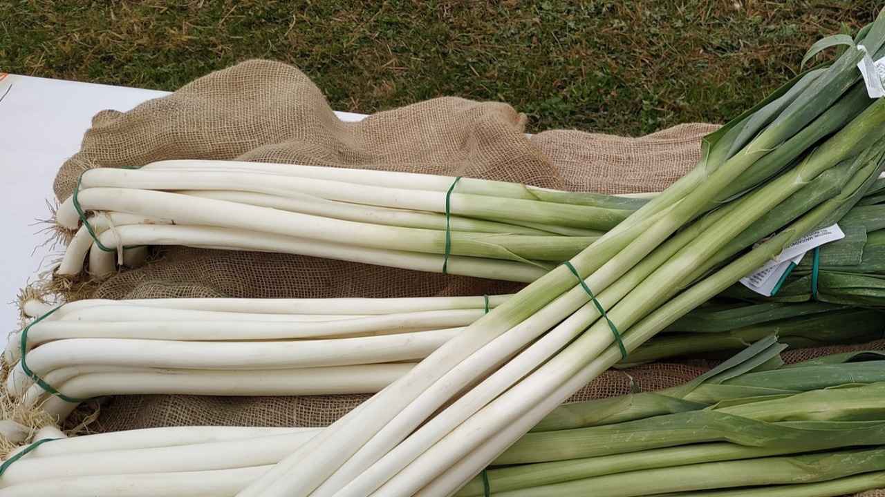 ALLA FIERA DEL PORRO DI CERVERE bici &Dintorni