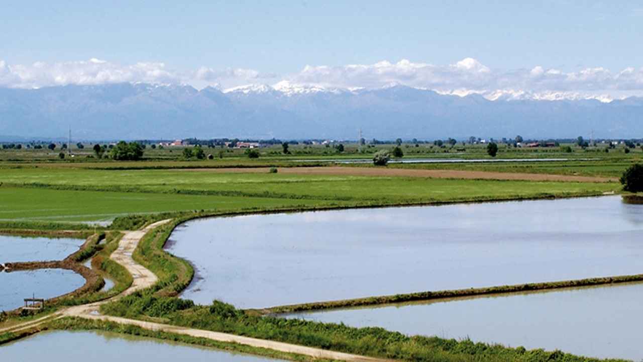 FRA LE RISAIE DEL VERCELLESE bici &Dintorni